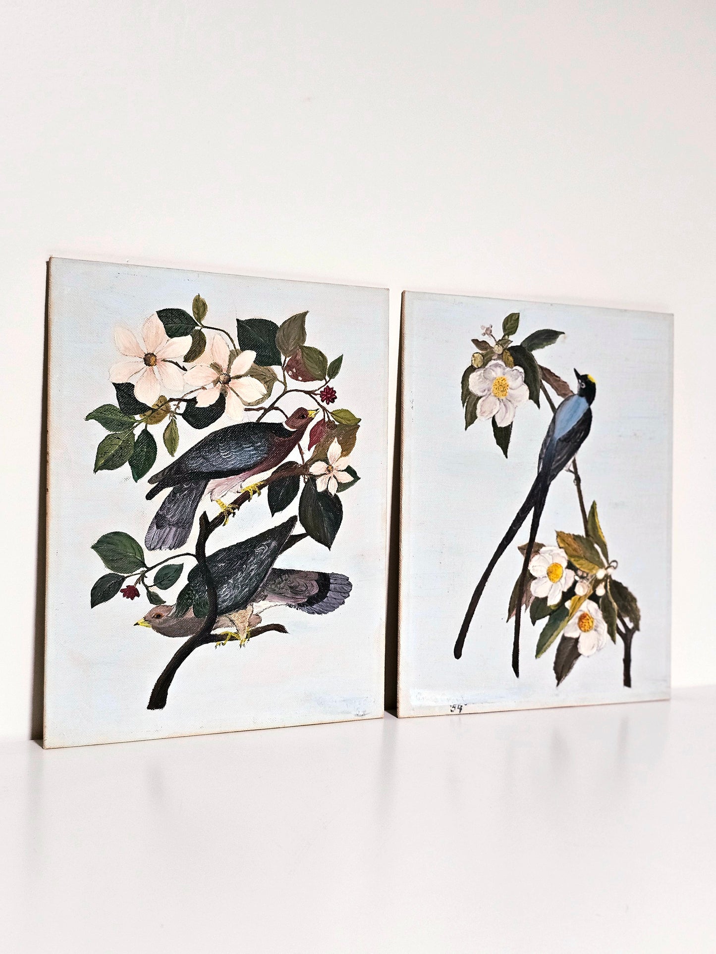 Audubon Rendition Paintings Pair