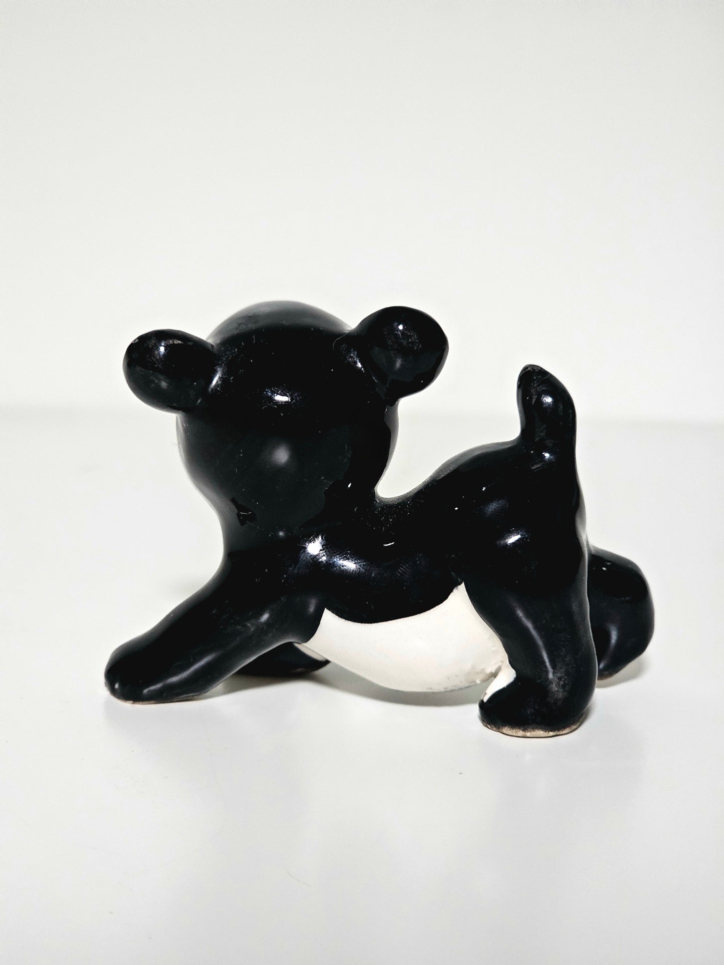 Black & White BearCatPup