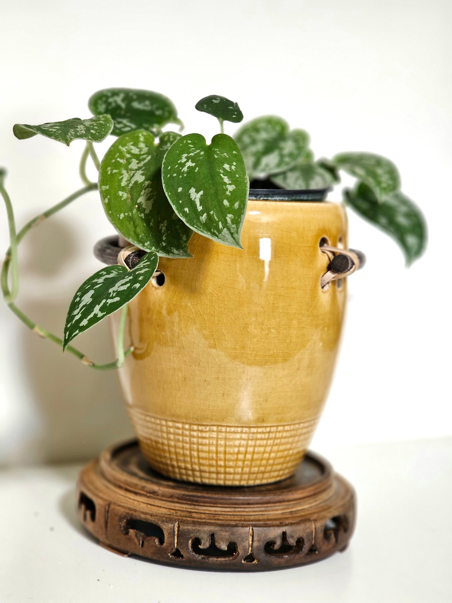 Antique Turned Wood Plant Stand
