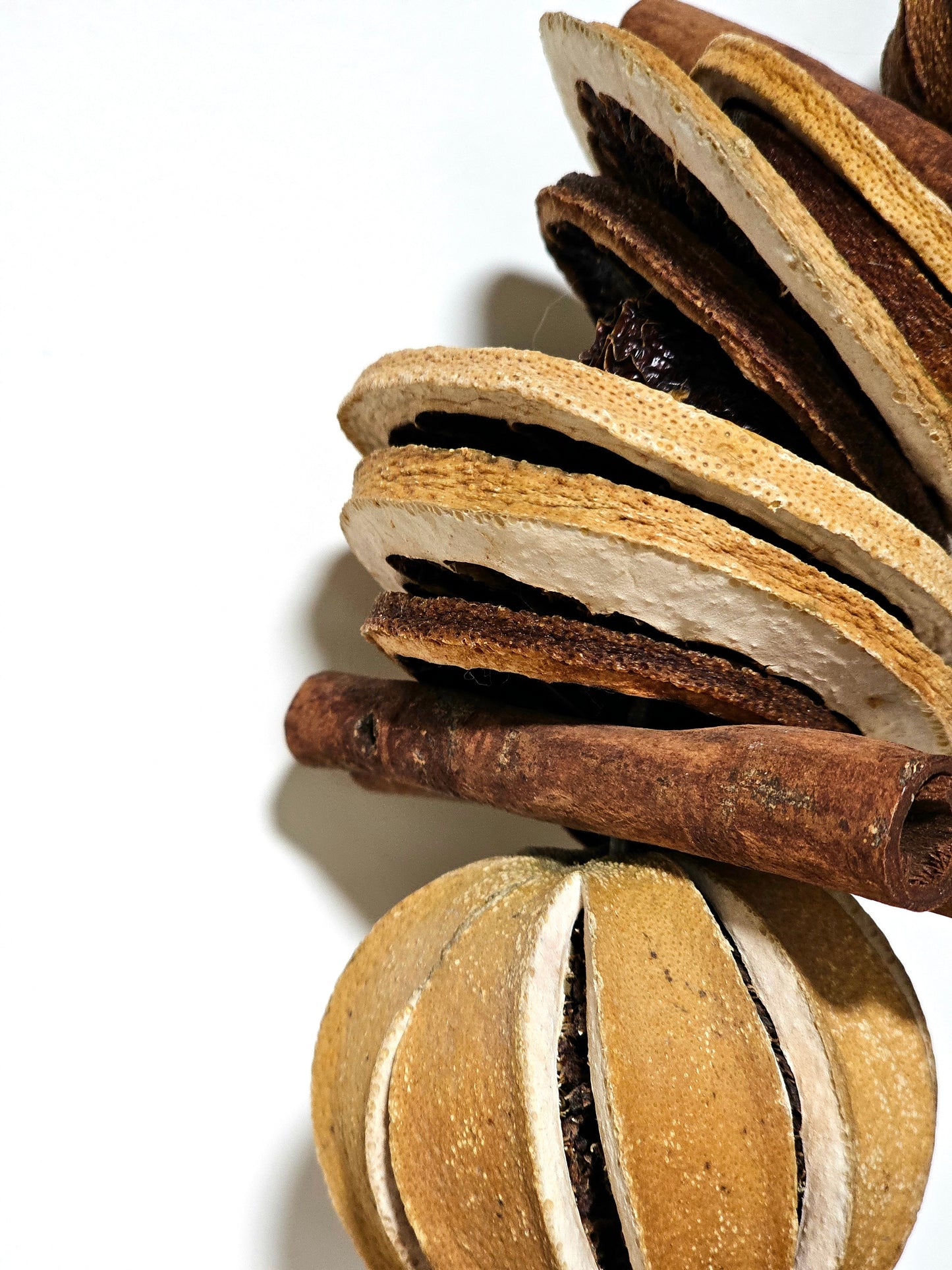 Vintage Dried Clementine & Cinnamon Wreath