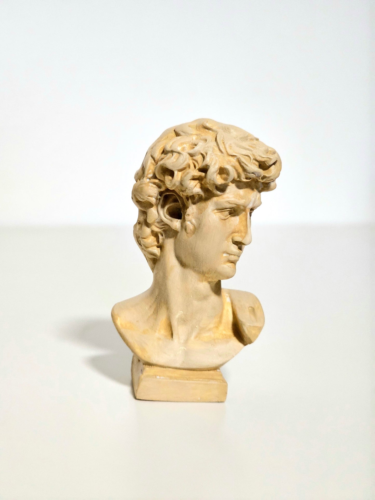Mini Resin David Bust