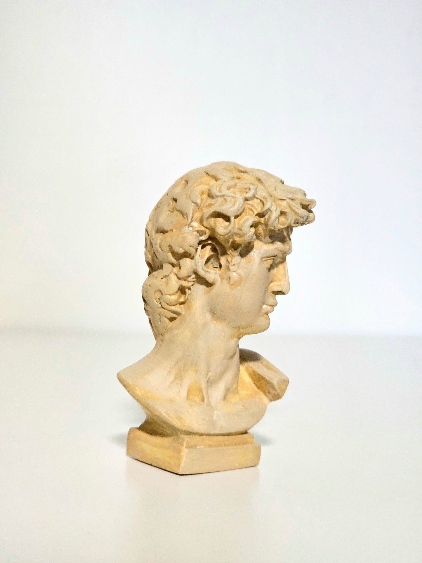 Mini Resin David Bust