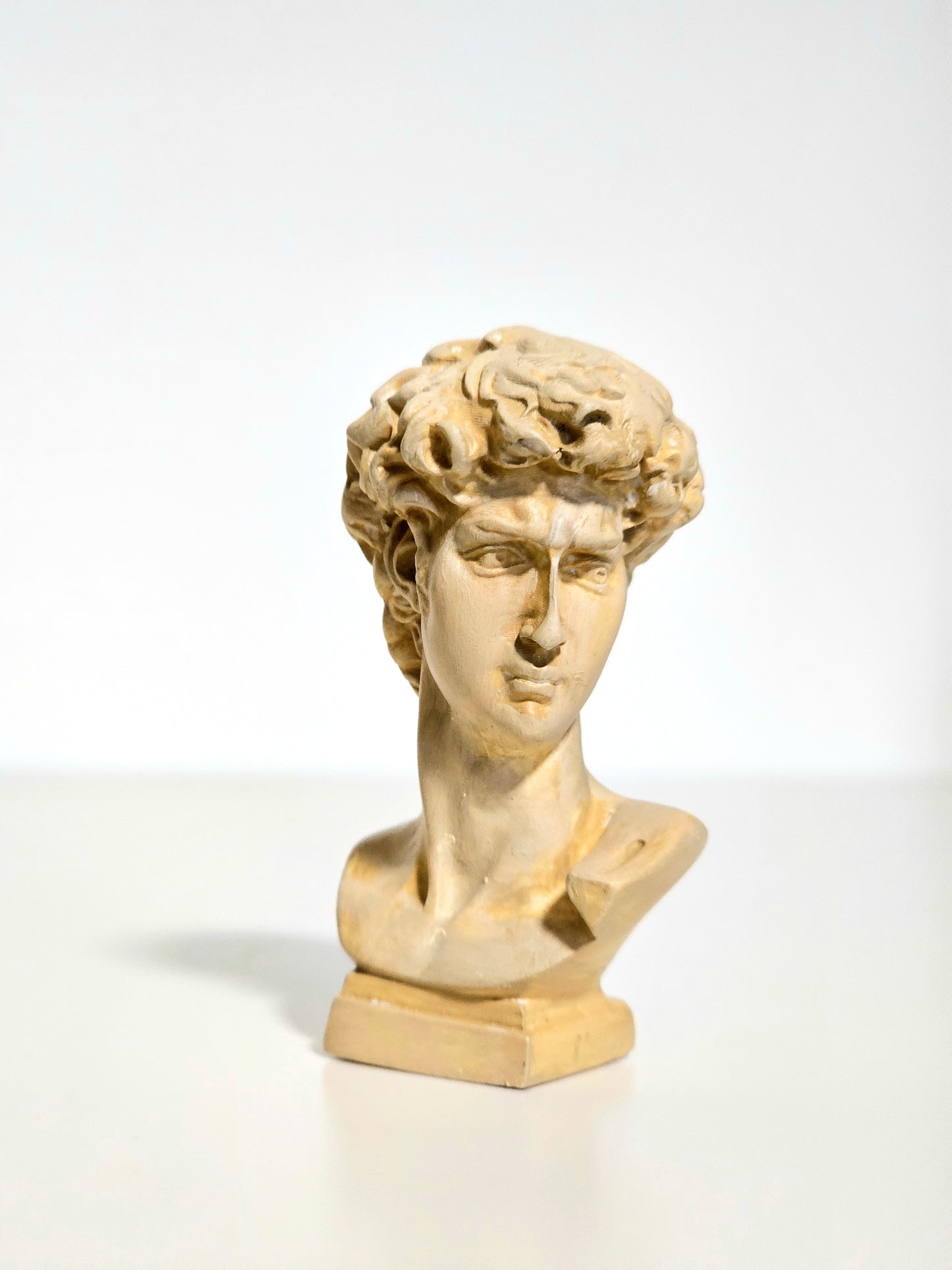 Mini Resin David Bust
