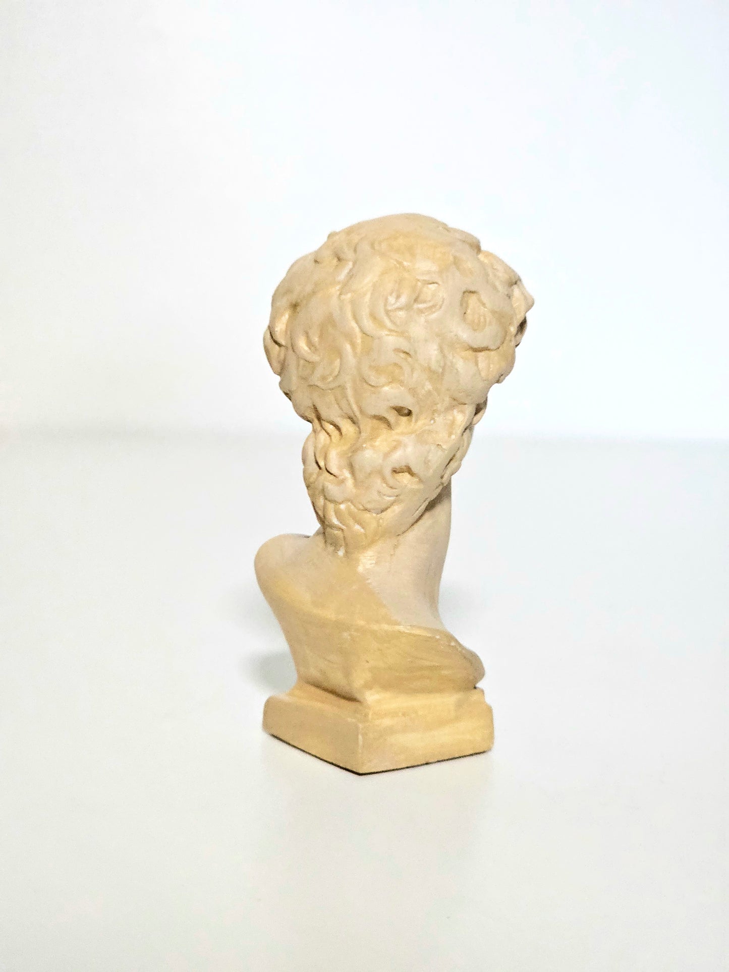 Mini Resin David Bust