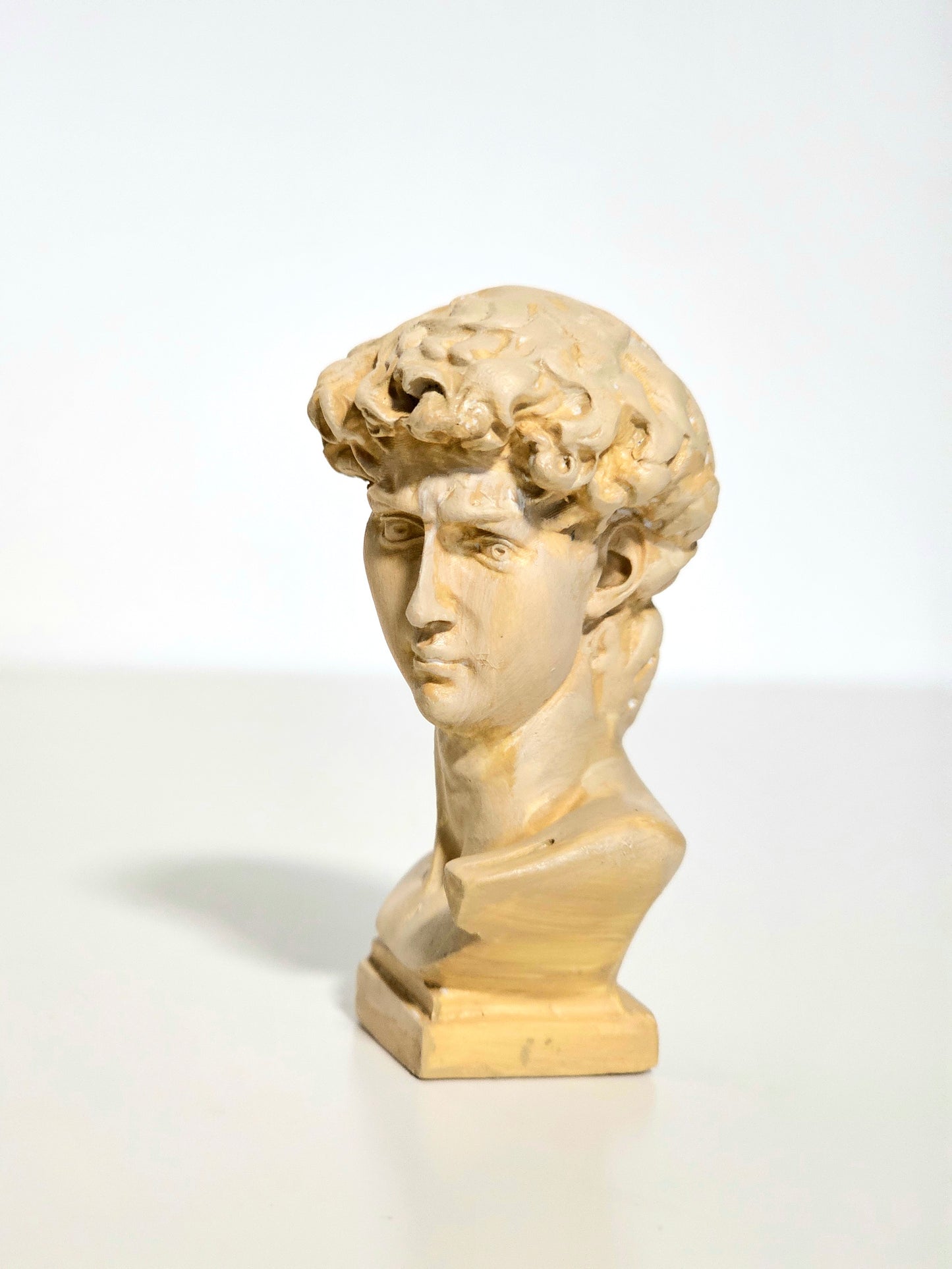 Mini Resin David Bust