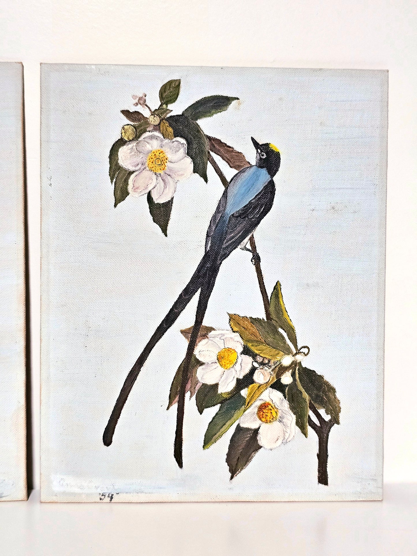 Audubon Rendition Paintings Pair