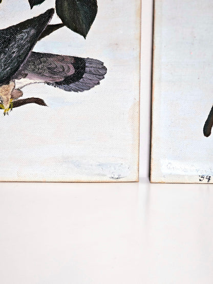 Audubon Rendition Paintings Pair