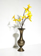 Italian Urn Style Ribbed Brass Vase
