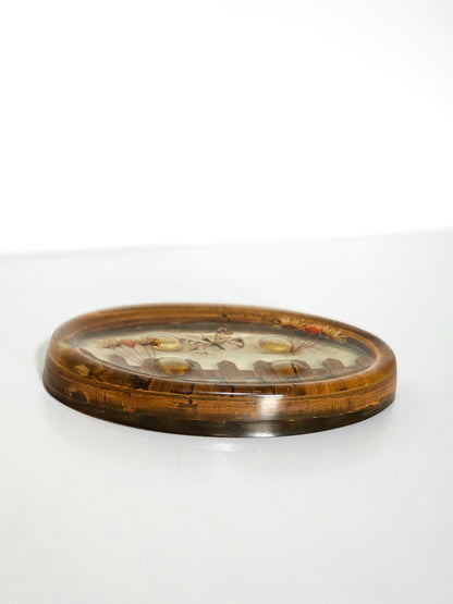 70's Dried Butterfly Lucite Soap Dish
